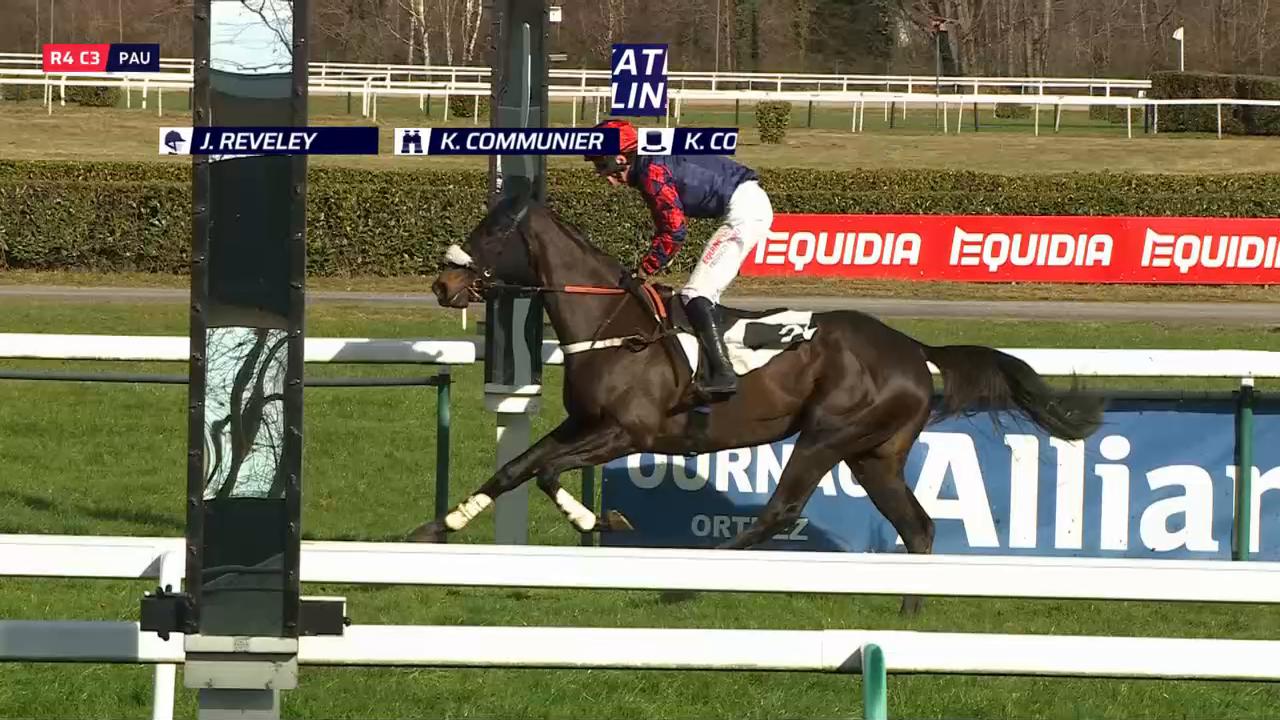 PRIX MAURICE FAGALDE - PAU - 11/01/2026 : partants, pronostics et ...