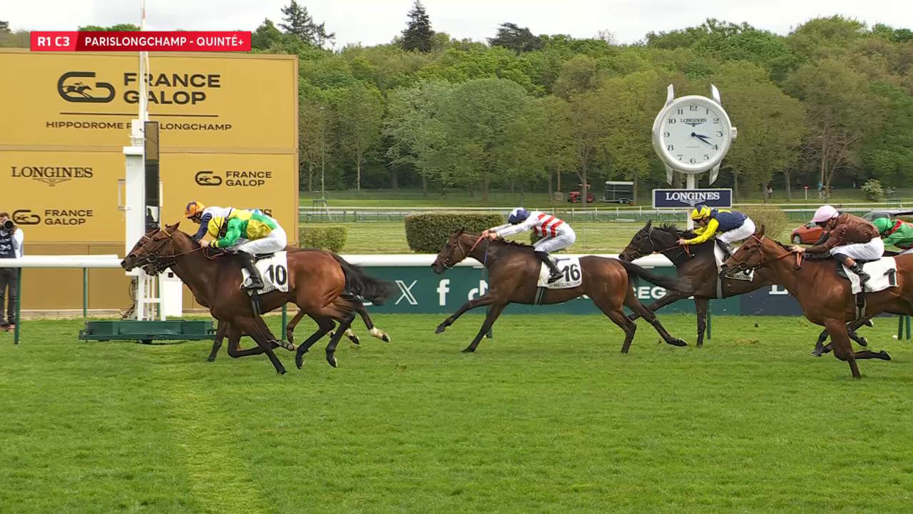 Quinté+: PRIX DU PAVILLON ROYAL - LONGCHAMP - 12/04/2026 : partants ...
