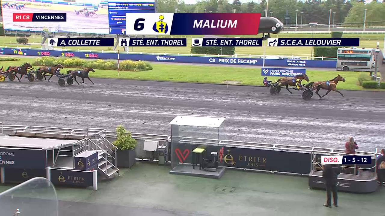 PRIX DE FECAMP - PARIS-VINCENNES - 13/05/2026 : partants, pronostics et ...