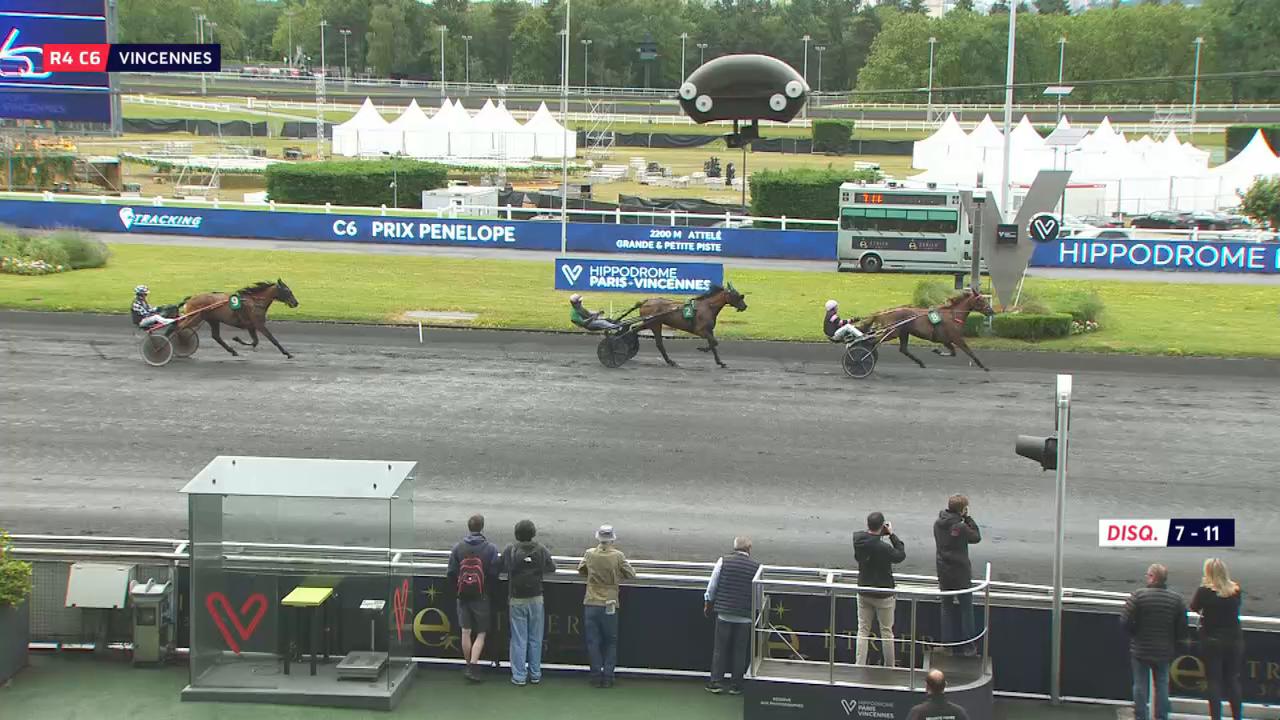 Panelopy From Raced PRIX PENELOPE - PARIS-VINCENNES - 09/06/2026 : partants, pronostics et ...
